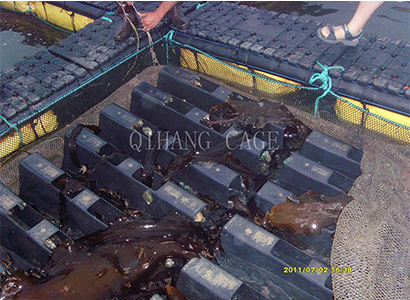 鲍鱼网箱 鲍鱼网箱