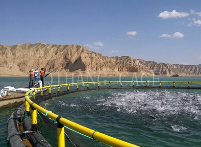 枣庄购买浮桥生产商