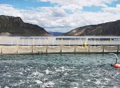 滨州选购防波堤价格