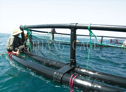 枣庄选购休闲垂钓网箱价格