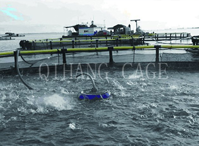 枣庄购买浮桥生产商