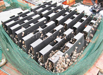 临沂选购塑胶渔排生产商