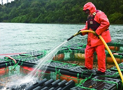 临沂选购塑胶渔排生产商