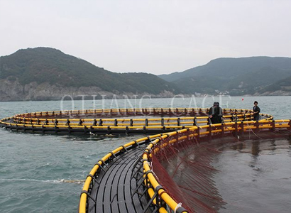 枣庄购买塑胶渔排价格