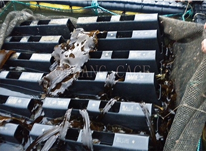 内蒙古鲍鱼网箱