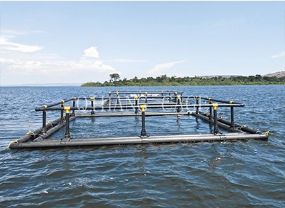 海洋网箱 海洋网箱