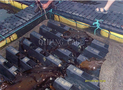 海洋网箱养鱼一般做多深网箱养鱼? 海洋网箱养鱼一般做多深网箱养鱼?