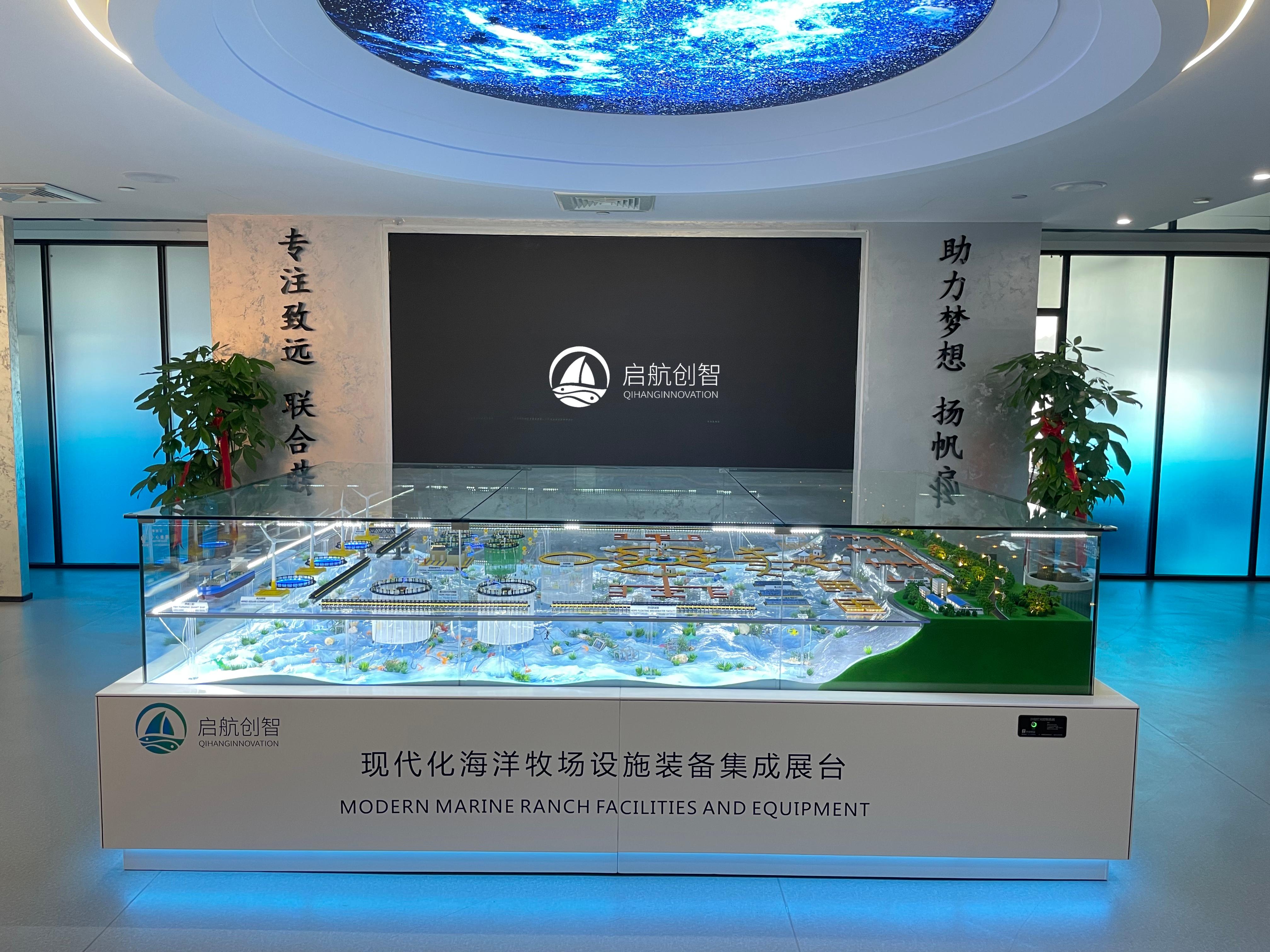 1747115647184380.jpg 1747115647184380.jpg