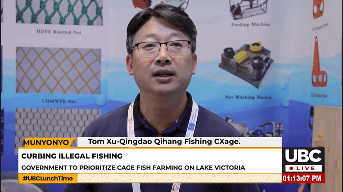 1752564941155108.png 1752564941155108.png